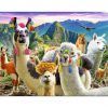 puzzle Trefl Llamas en las Montañas