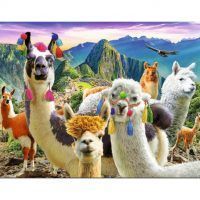 puzzle Trefl Llamas en las Montañas