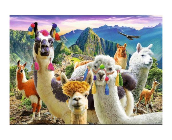 puzzle Trefl Llamas en las Montañas