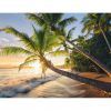 puzzle Ravensburger Playa Secreta